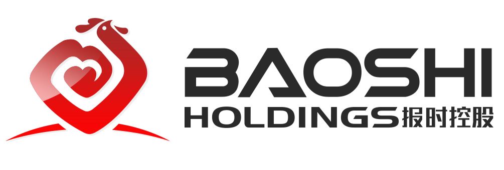 BAOSHI HOLDINGS Logo