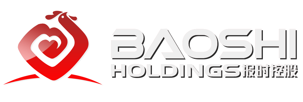 BAOSHI HOLDINGS Logo